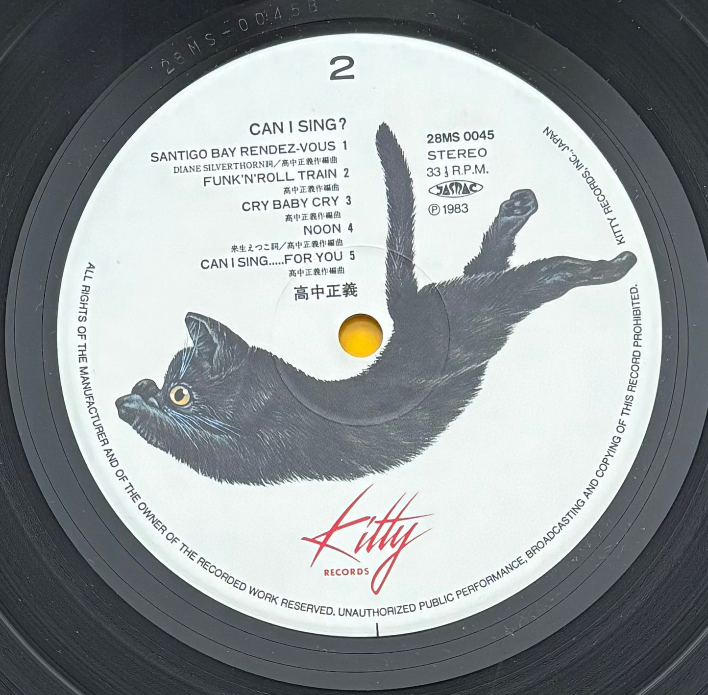 Masayoshi Takanaka “Can I Sing?” (1983)