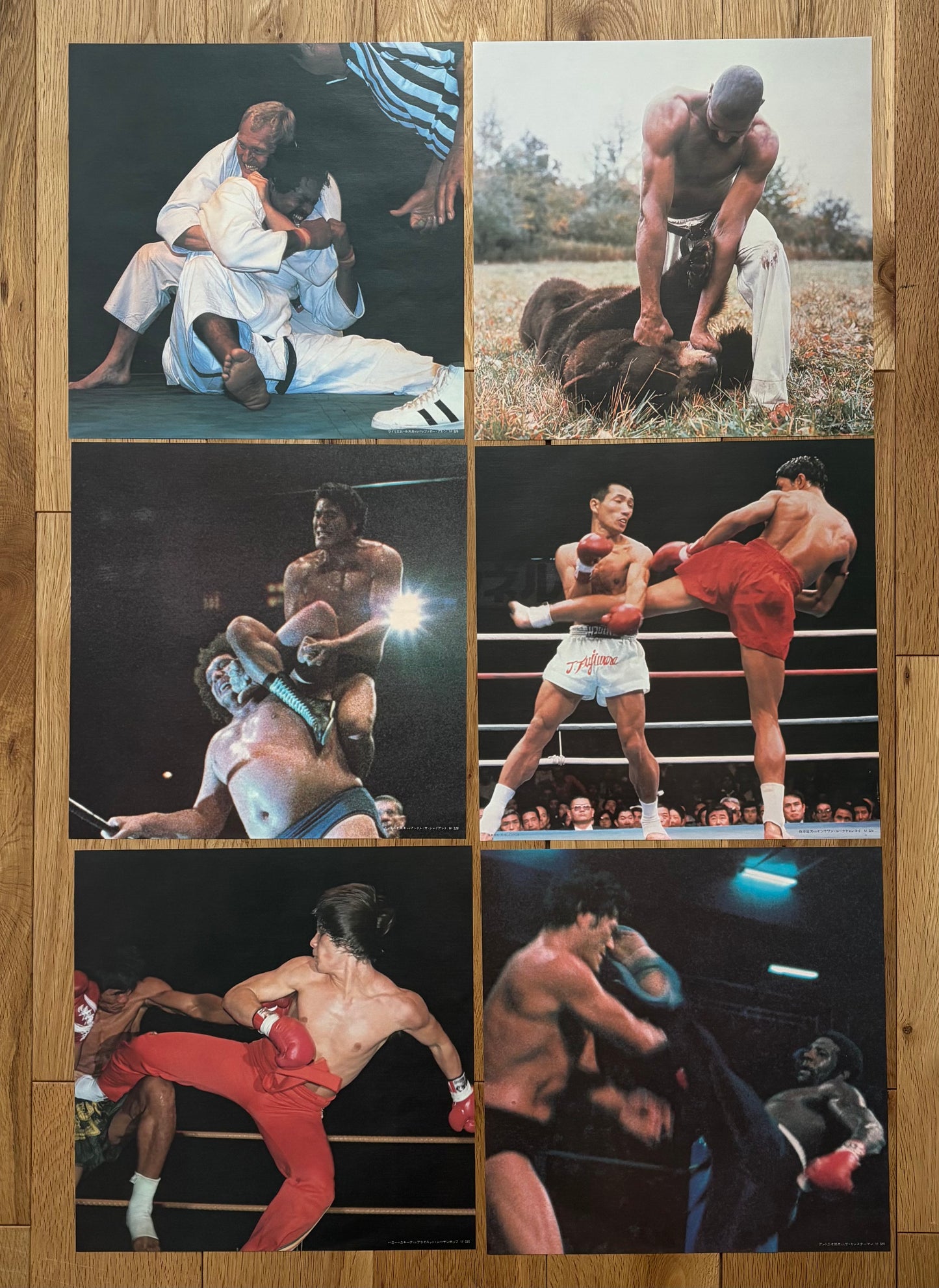 Kings Of The Square Ring (1978)