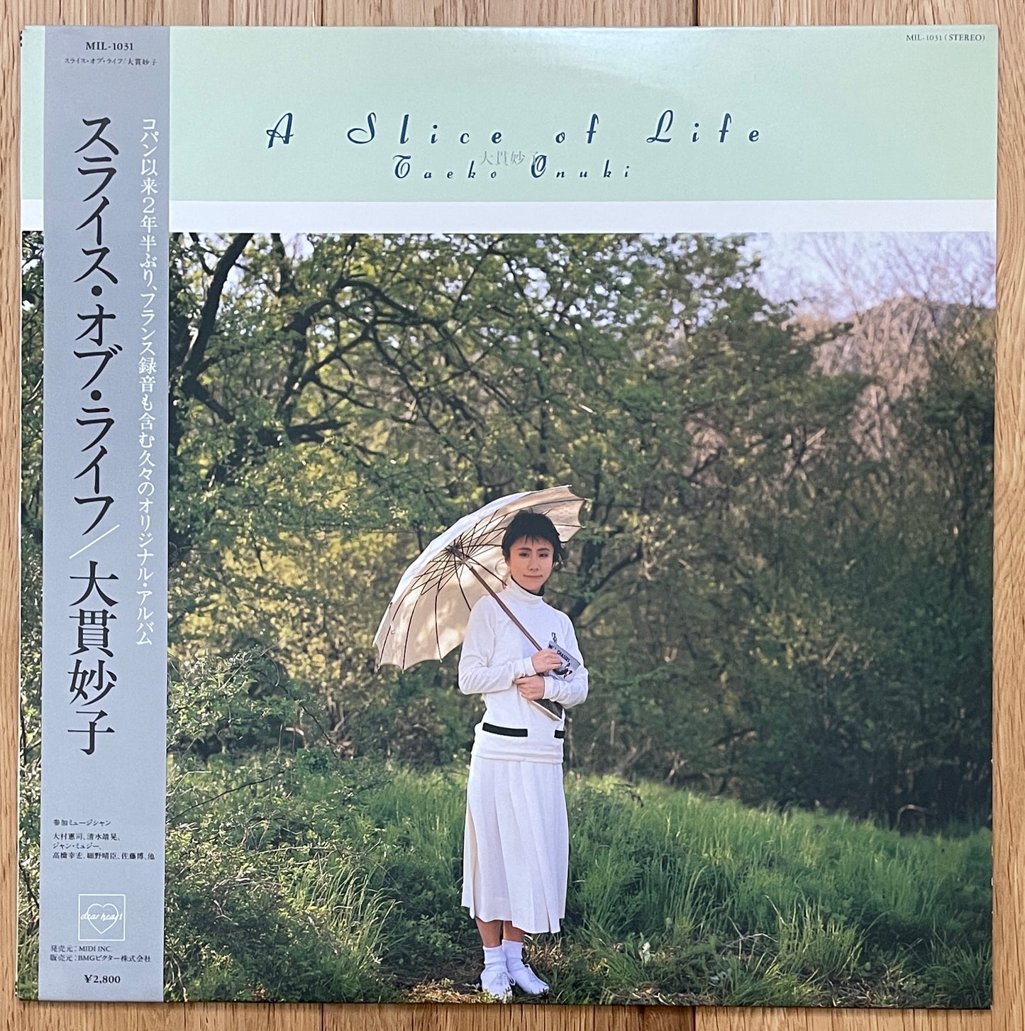 Taeko Ohnuki “A Slice Of Life” (1987)