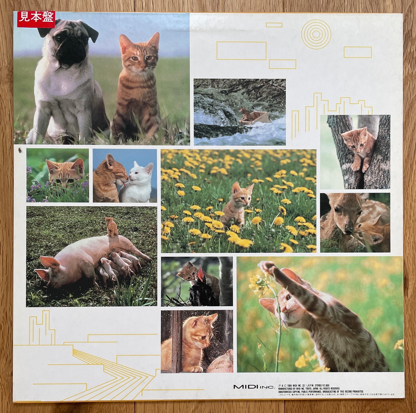 Ryuichi Sakamoto “The Adventures Of Chatran” (1986)