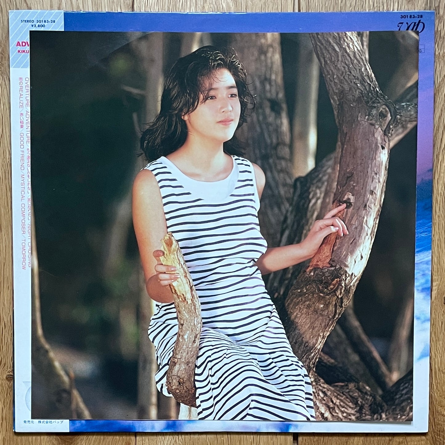 Momoko Kikuchi “Adventure” (1986)