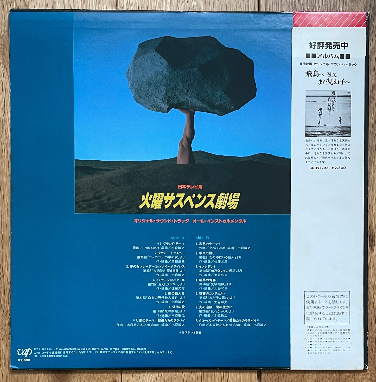 火曜サスペンス劇場 (1982)