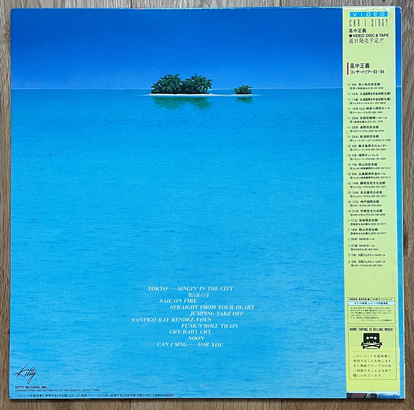 Masayoshi Takanaka "Can I Sing?" (1983)