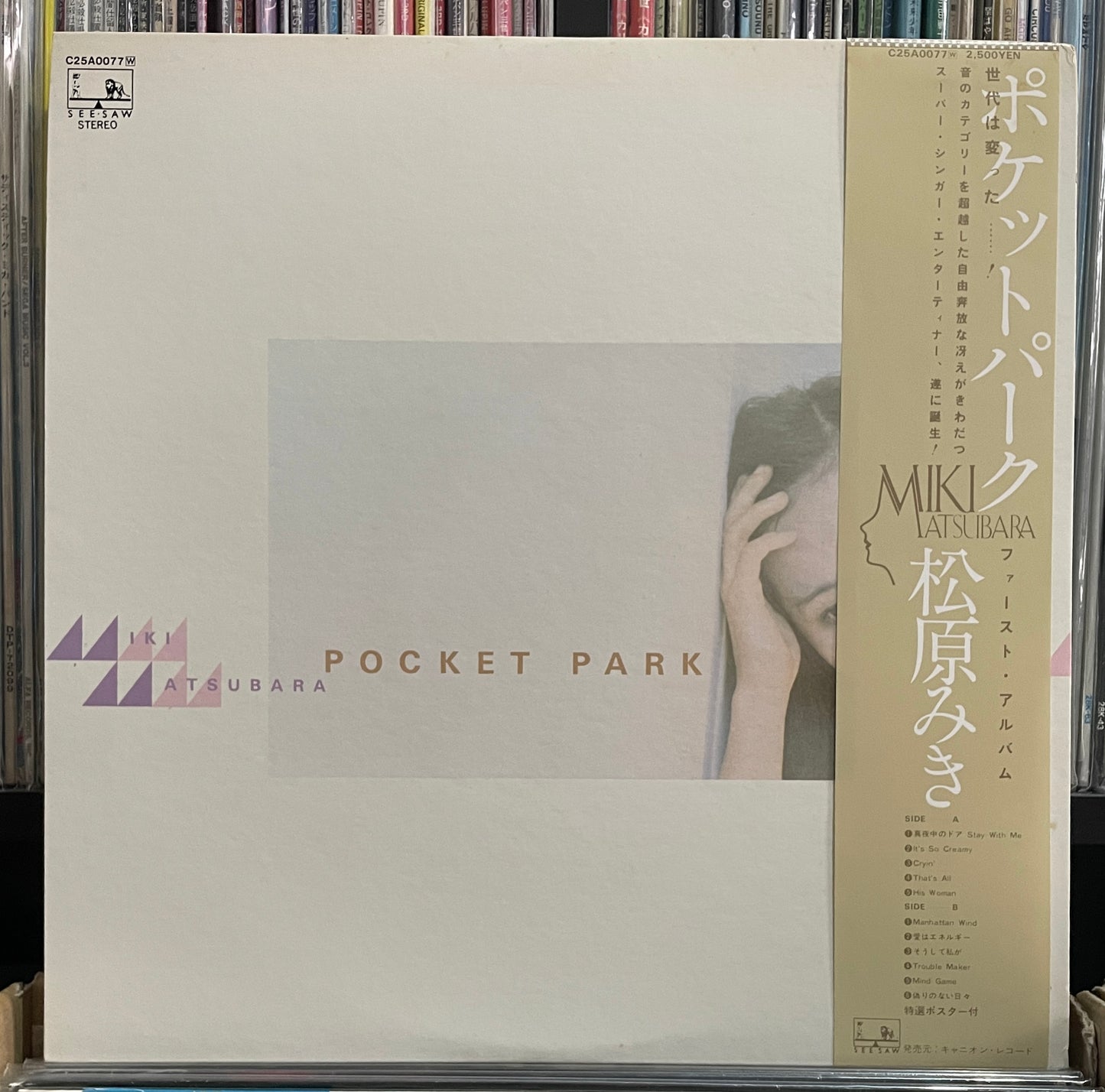 Miki Matsubara “Pocket Park” (1980)