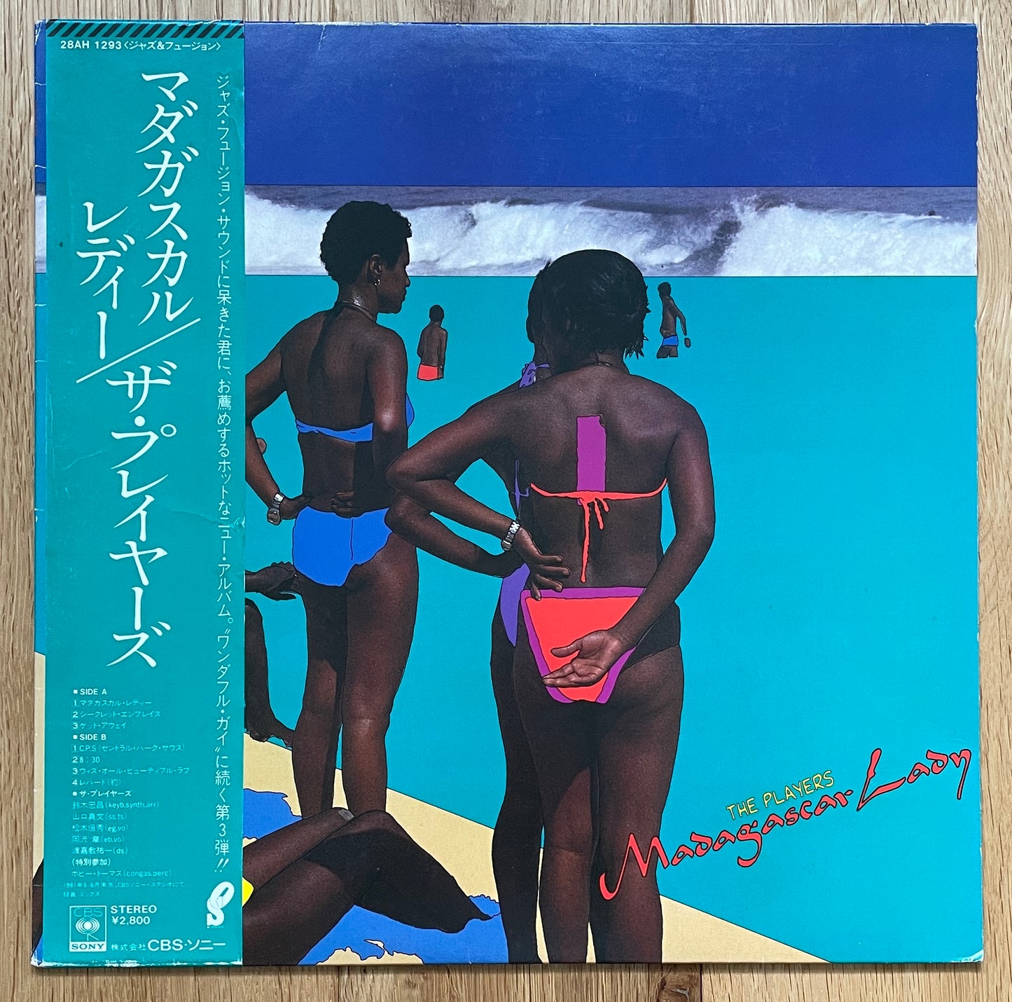 The players “Madagascar Lady” (1981)