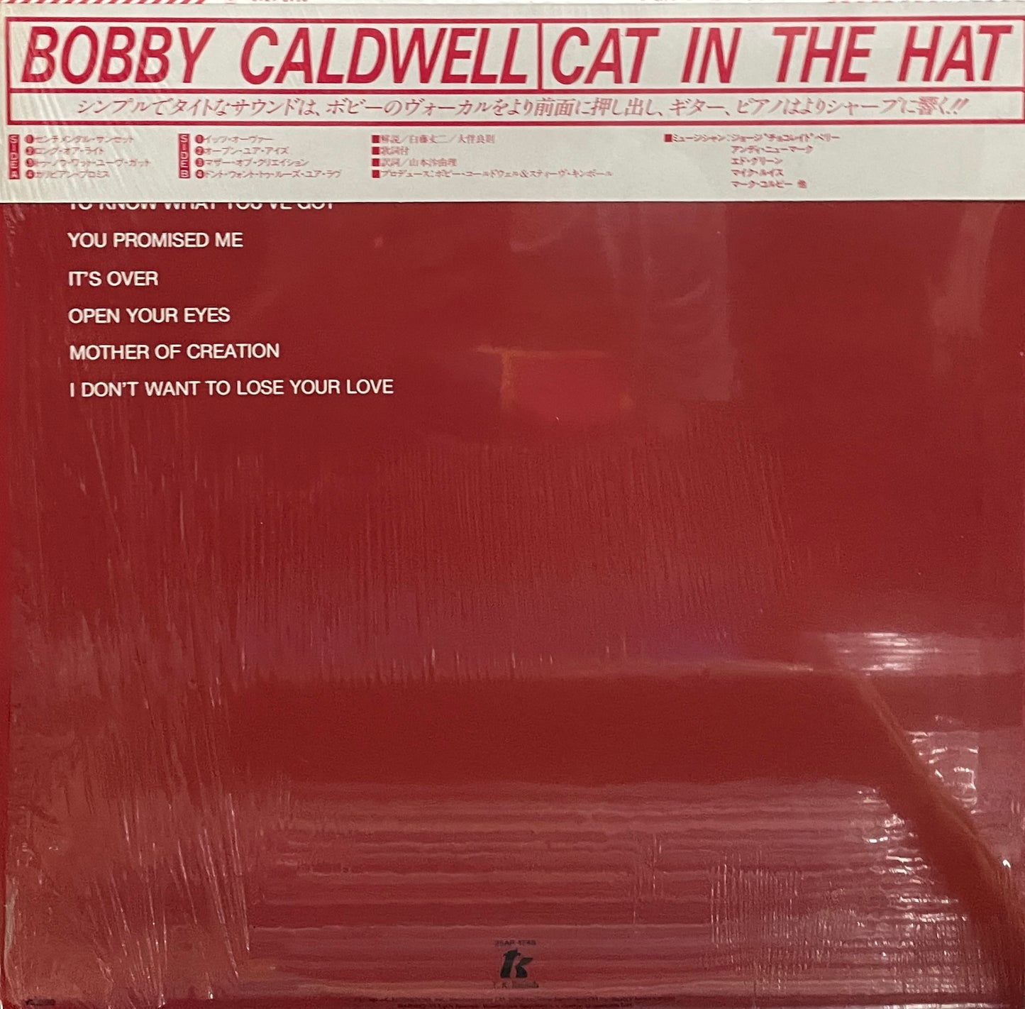 Bobby Caldwell " Cat In The Hat" (1980)