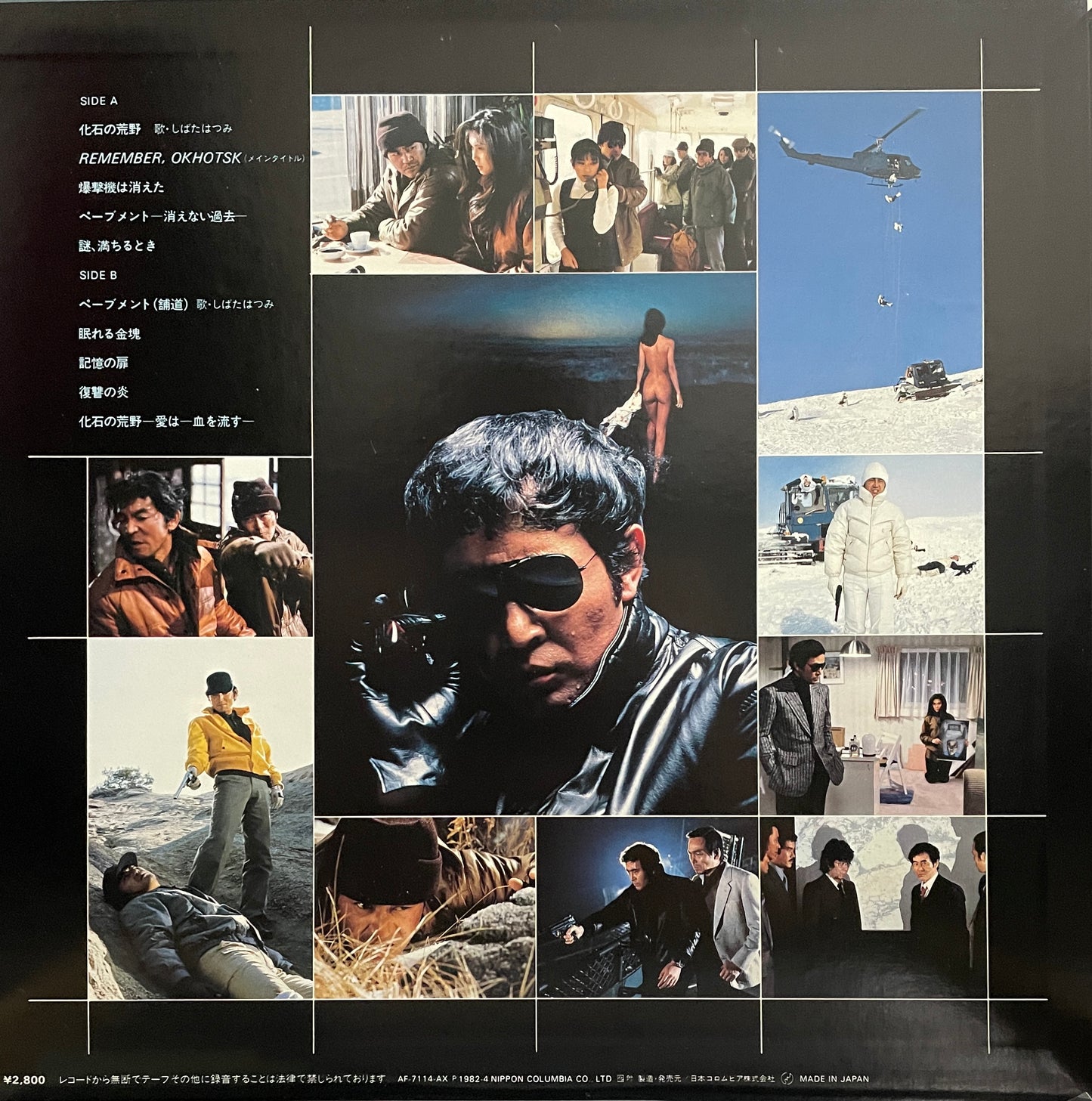 化石の荒野 (1982)