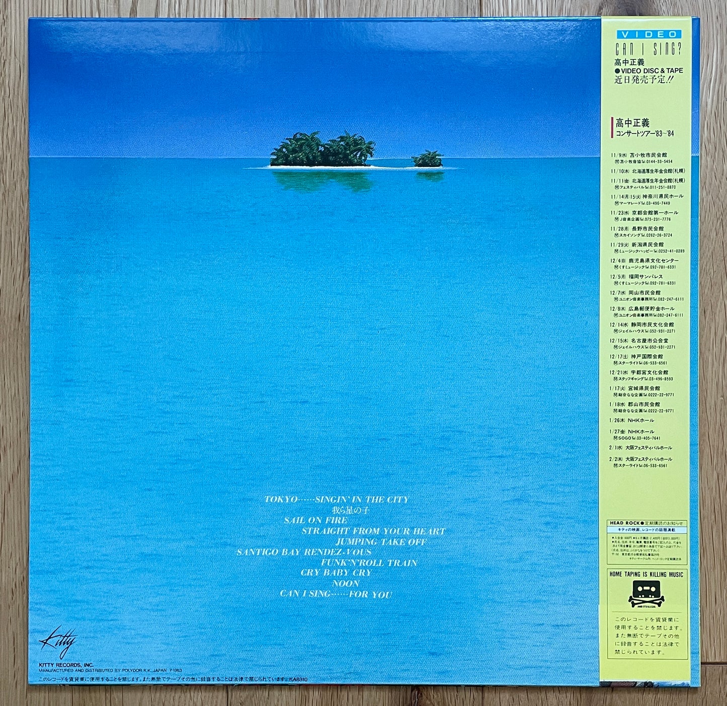 Masayoshi Takanaka "Can I Sing?" (1983)