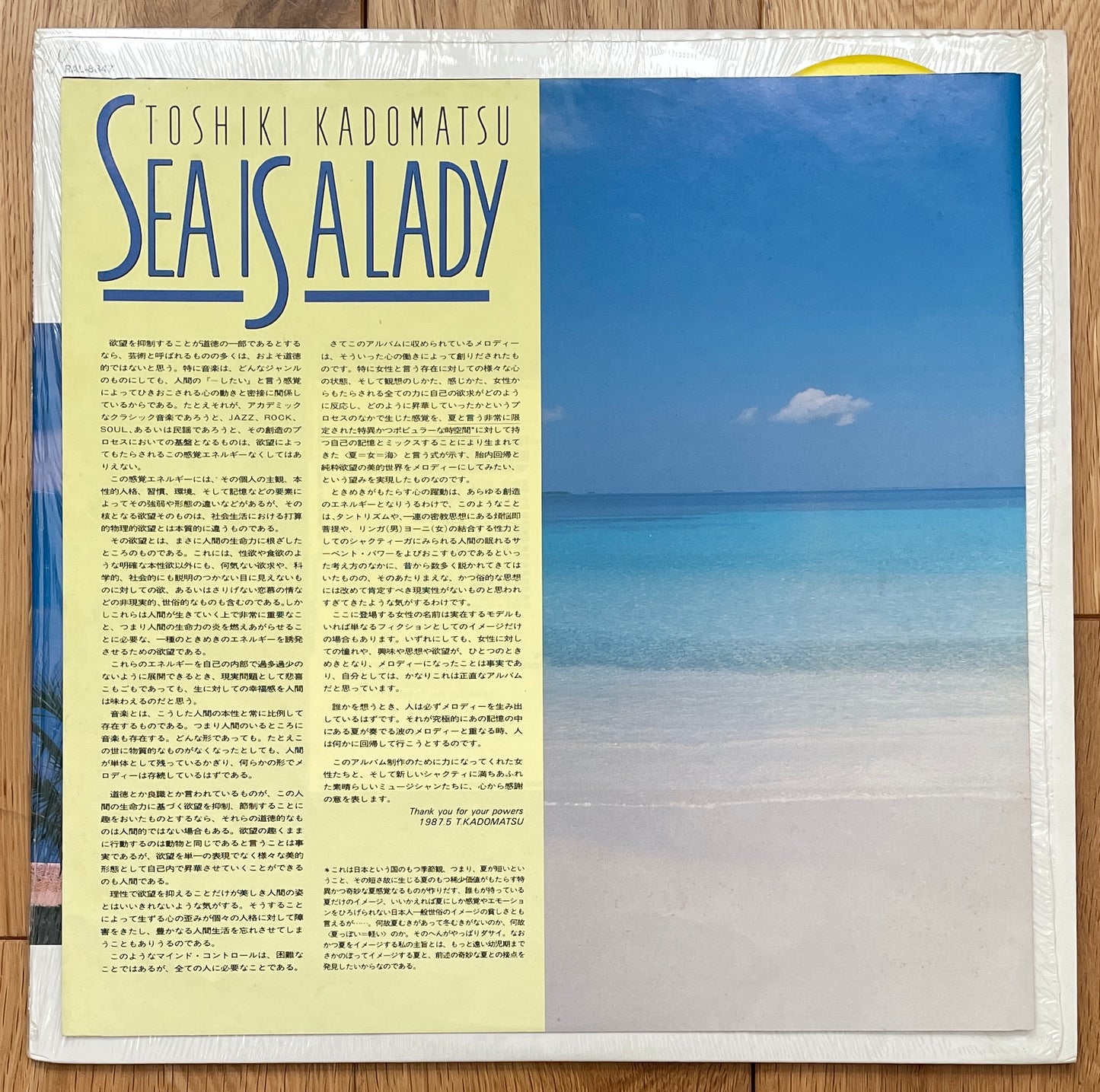 Toshiki Kadomatsu “Sea Is A Lady” (1987)