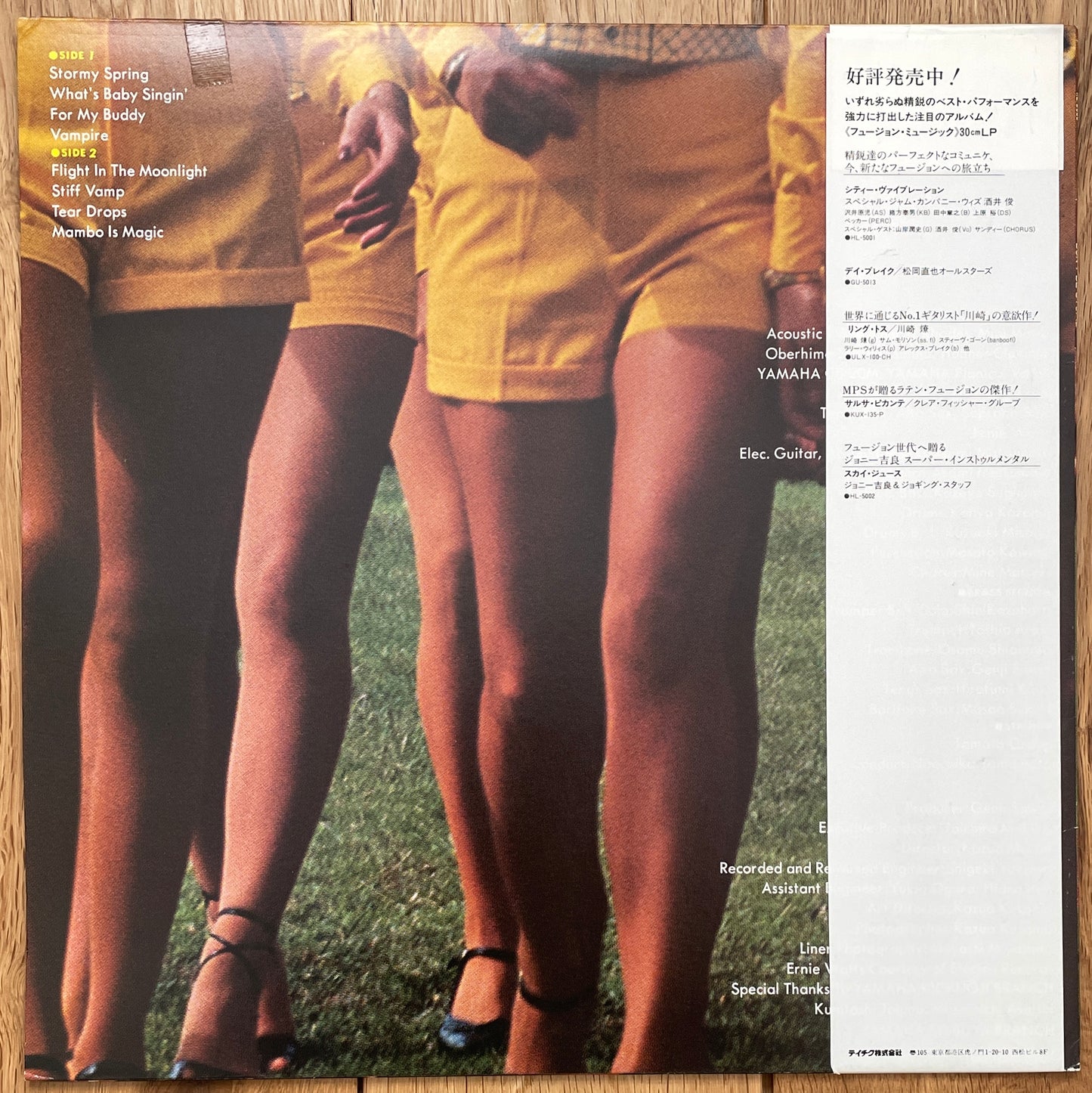 Himiko Kikuchi “Don’t Be Stupid” (1980)