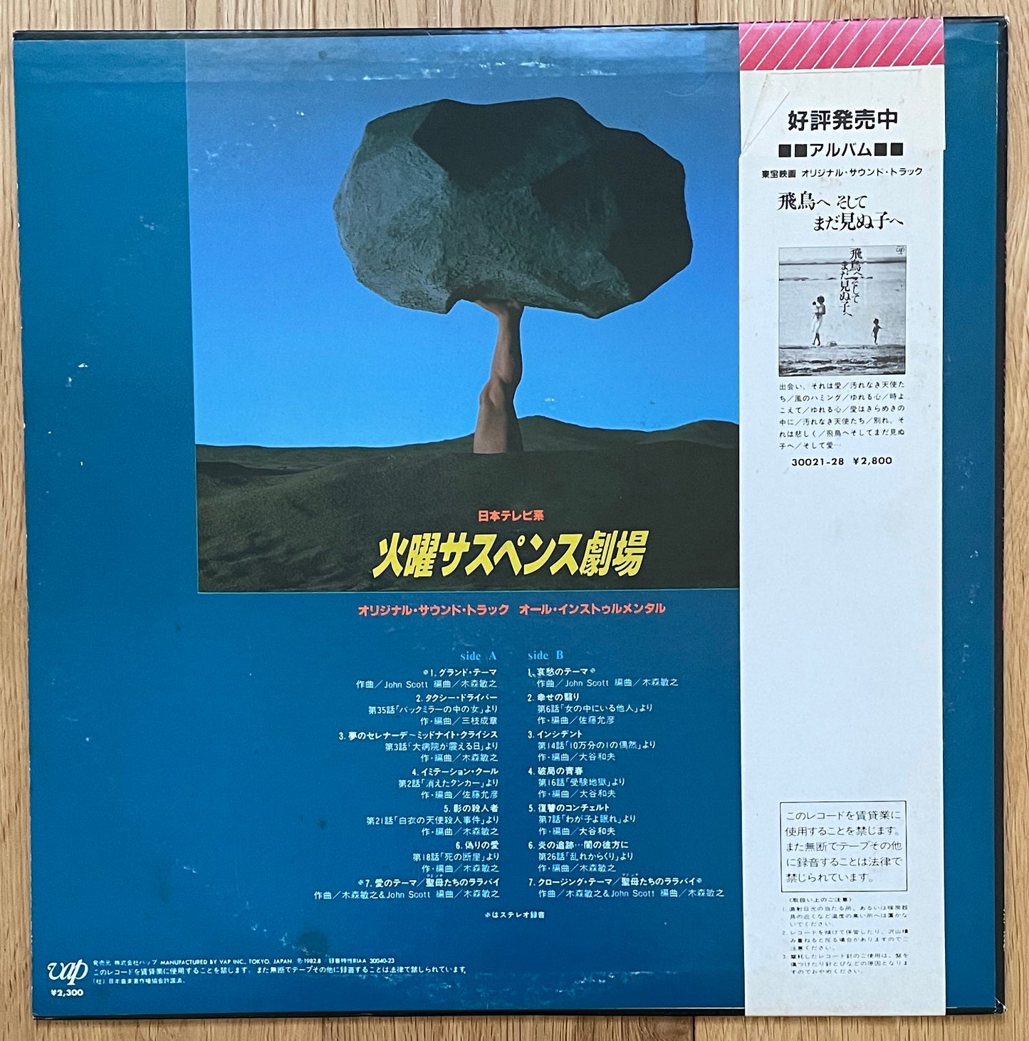 火曜サスペンス劇場 (1982)