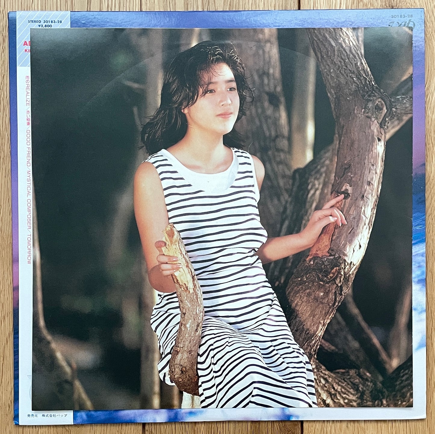 Momoko Kikuchi “Adventure” (1986)