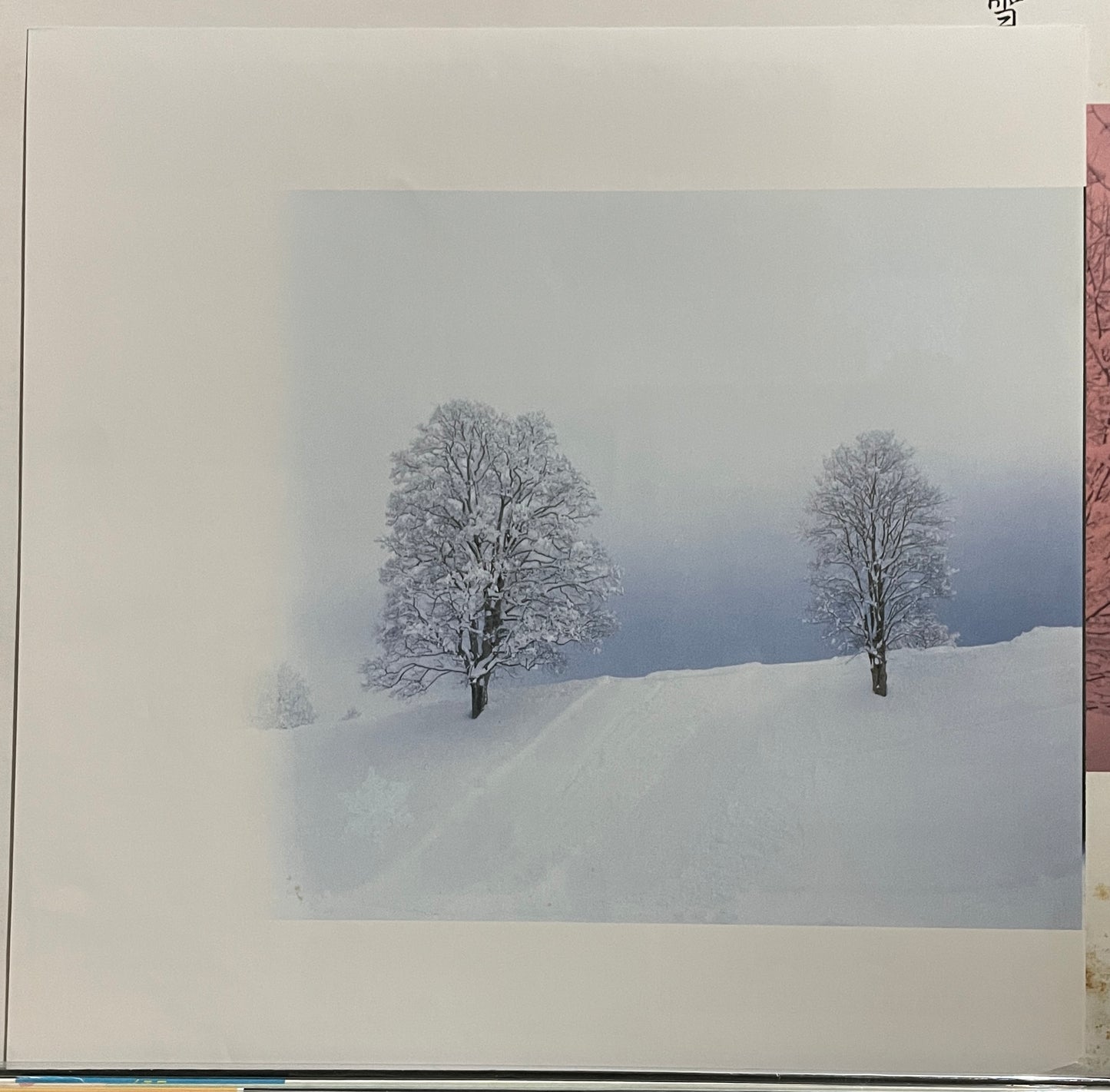 雪の断章 サウンドスケッチ (1985)