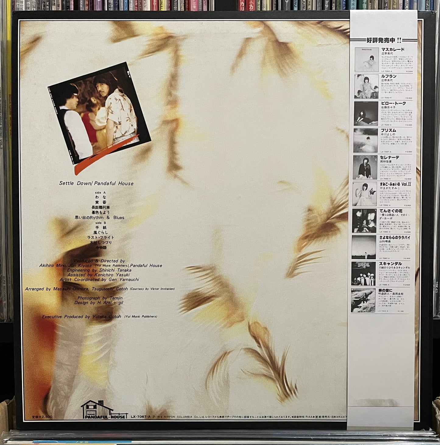 Panda House “Settle Down” (1979)