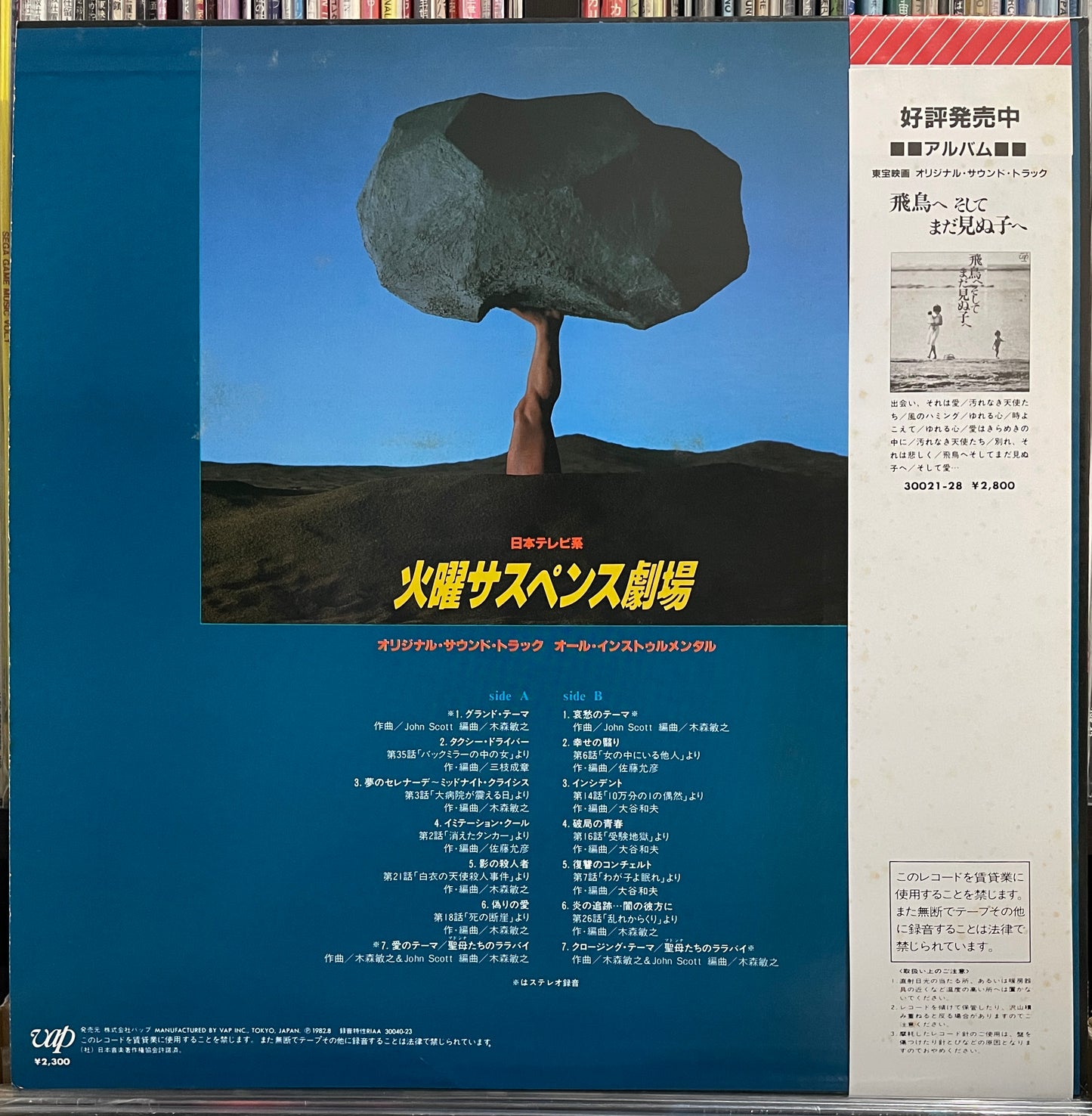 火曜サスペンス劇場 (1982)