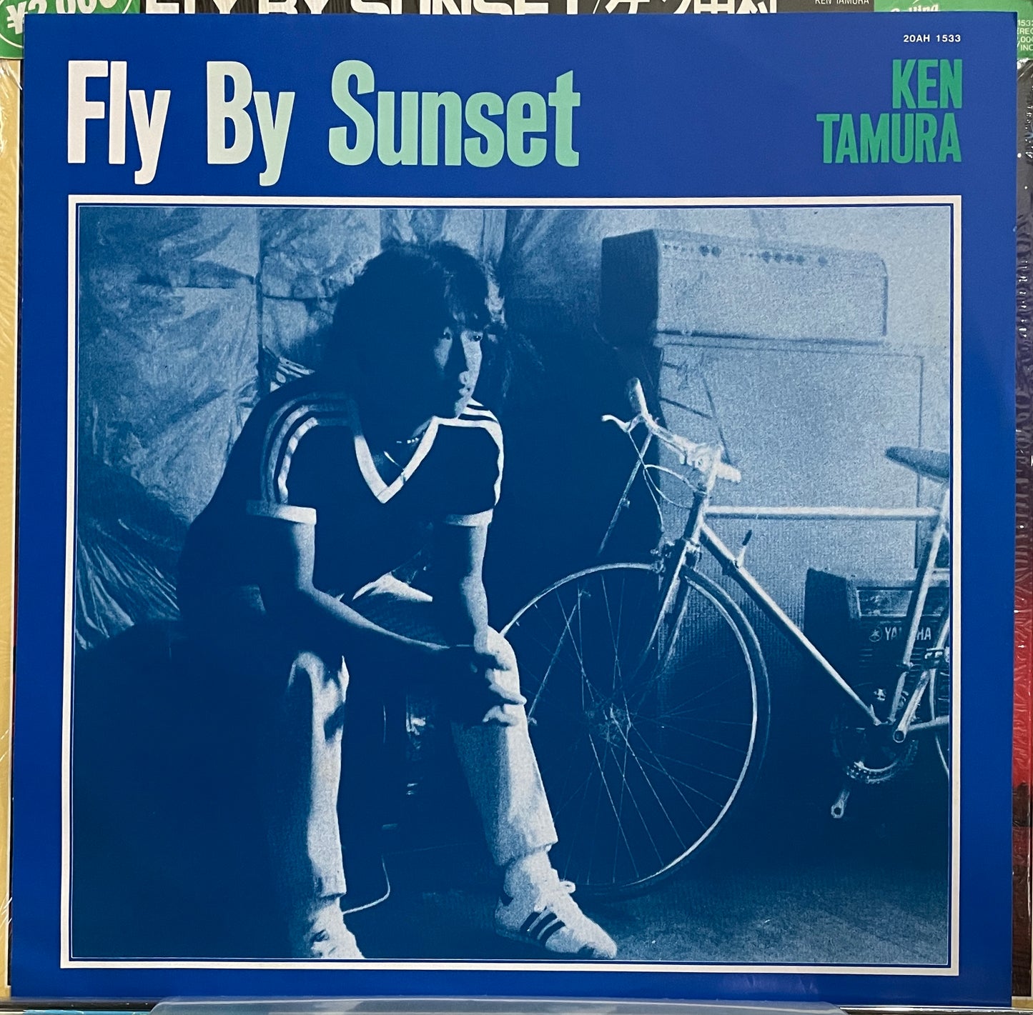 Ken Tamura "Fly By Sunset" (1983)