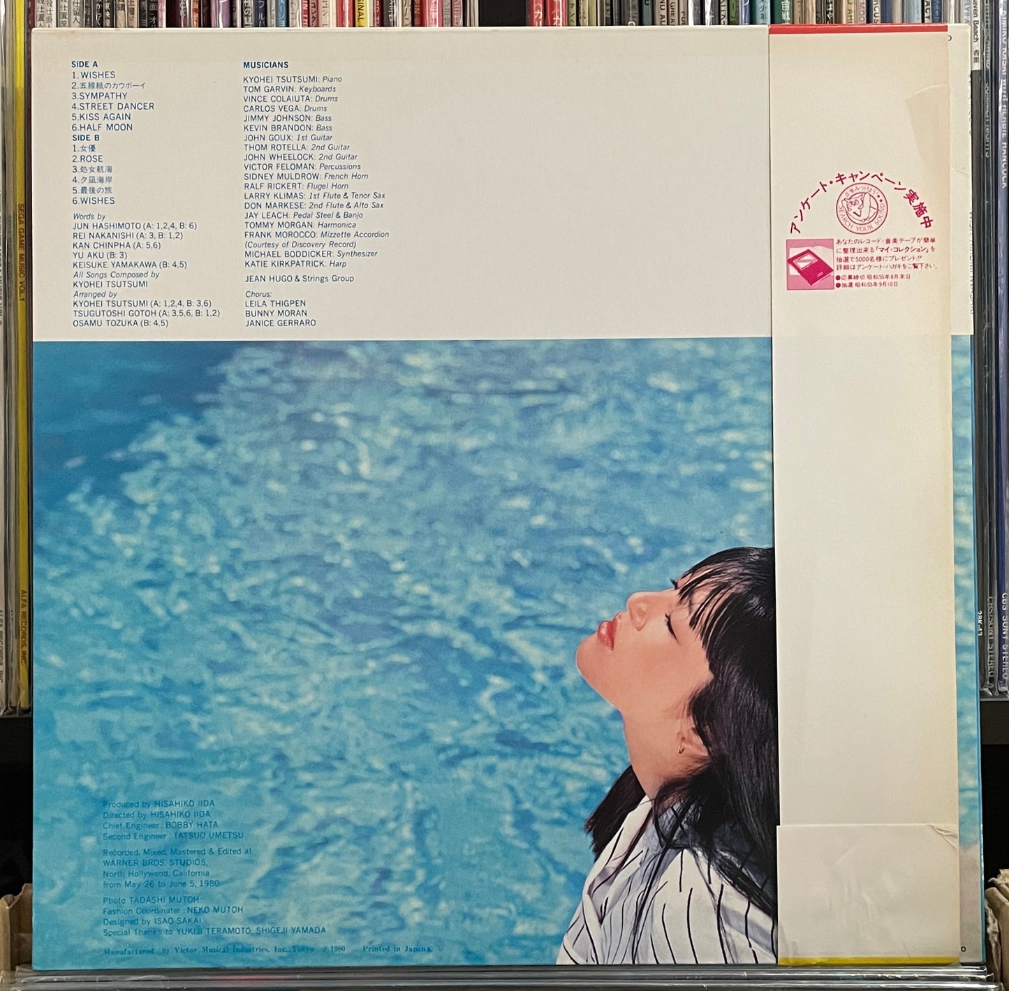 Hiromi Iamwasaki “Wish” (1980)