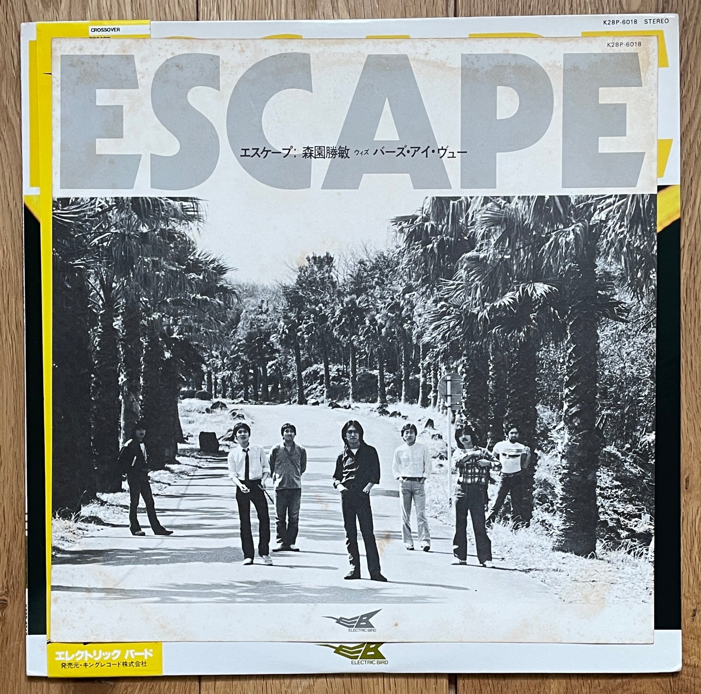 Katsutoshi Morizono w/ Bird’s Eye View “Escape” (1980)