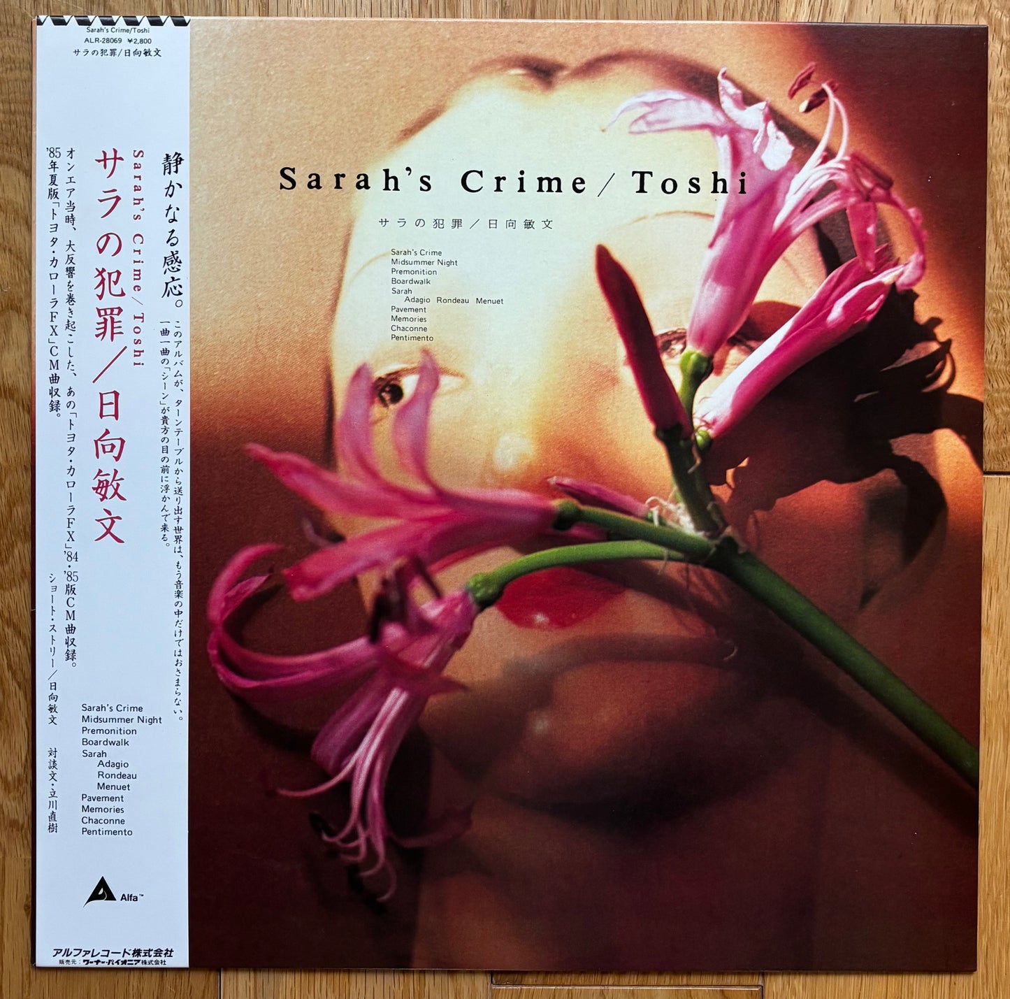 Toshi (Toshifumi Hinata) “Sarah’s Crime” (1985)