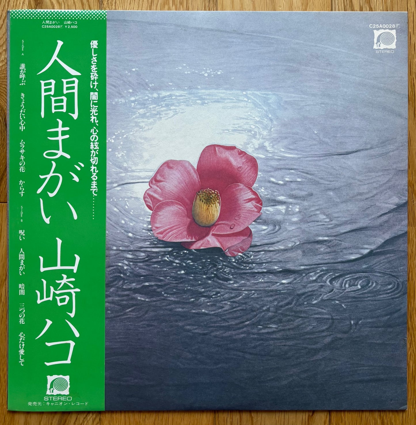 Hako Yamasaki “Ningen Magai” (1979)