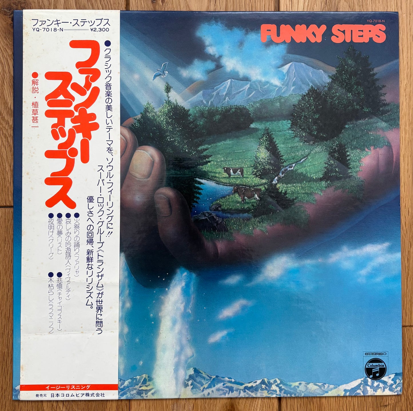 Tranzam “Funky Steps” (1974)