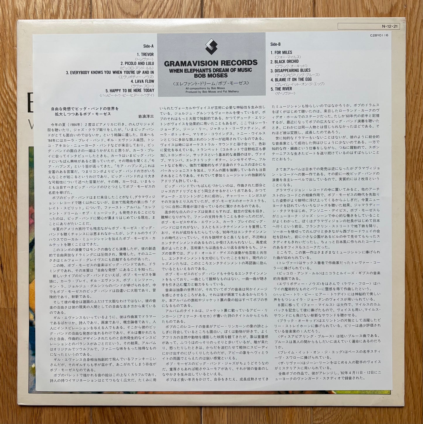 Bob Moses "When Elephants Dream Of Music" (1983) Japanese Press