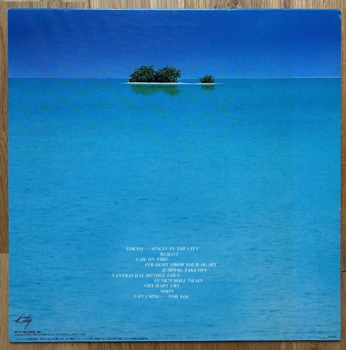 Masayoshi Takanaka "Can I Sing?" (1983) First Press