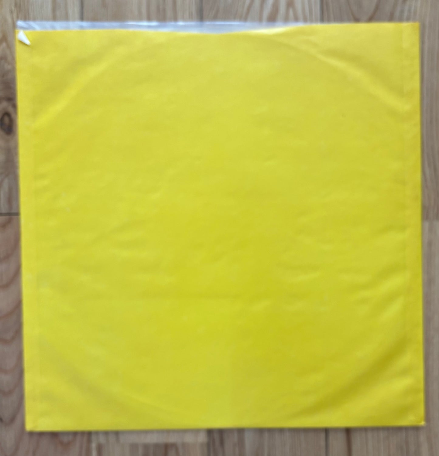 Akiko Yano "Tadaima" (1981) First Press