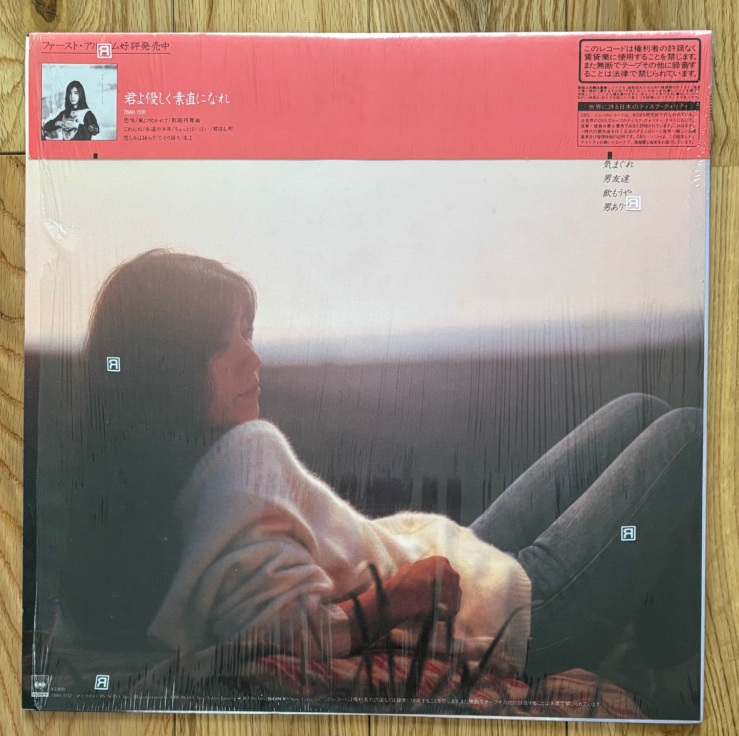 Naomi Nomoto "Haruyokoi hayaku koi" (1984)