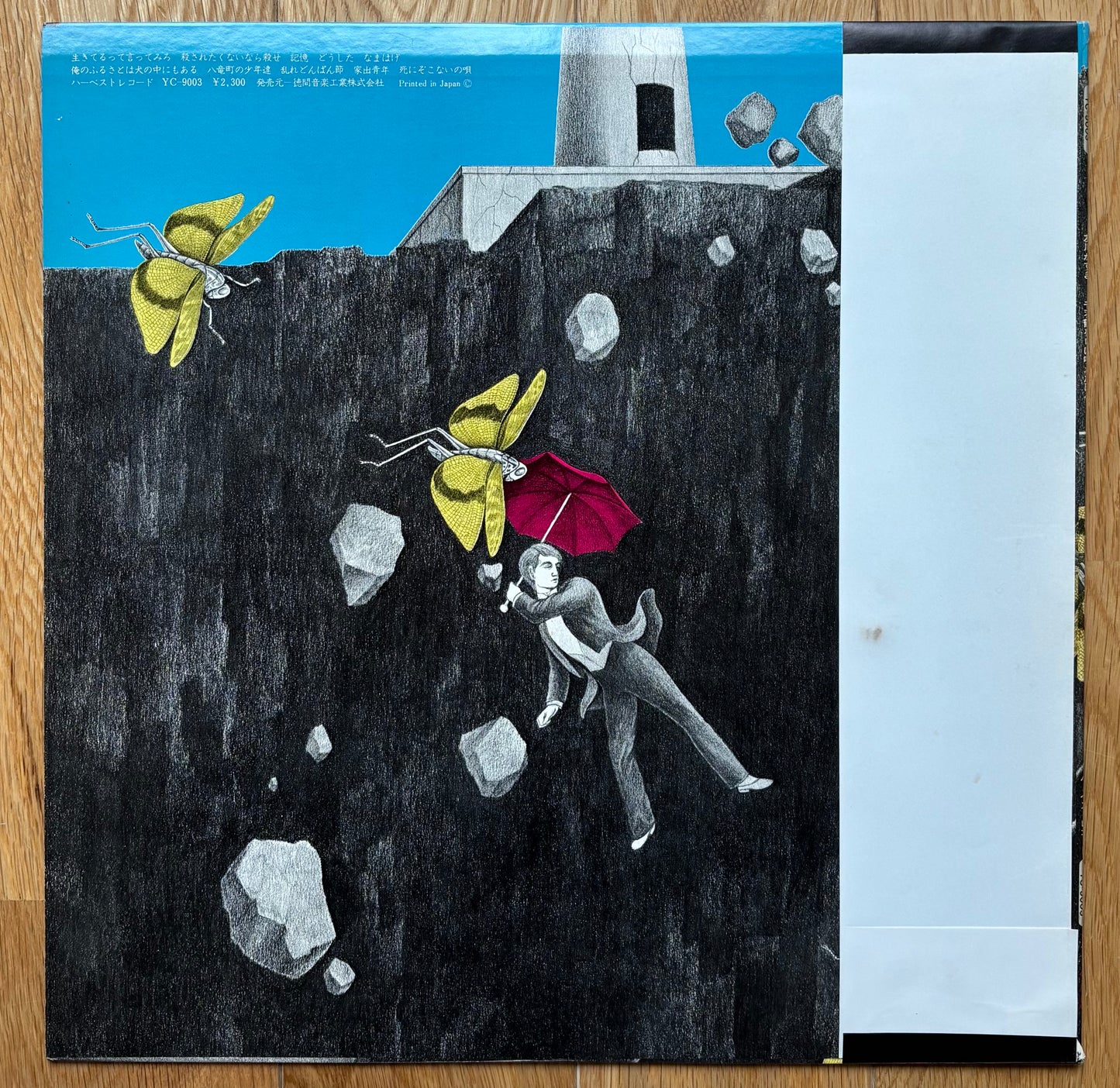 Kazuki Tomokawa “千羽鶴を口に咬えた日々” (1977)