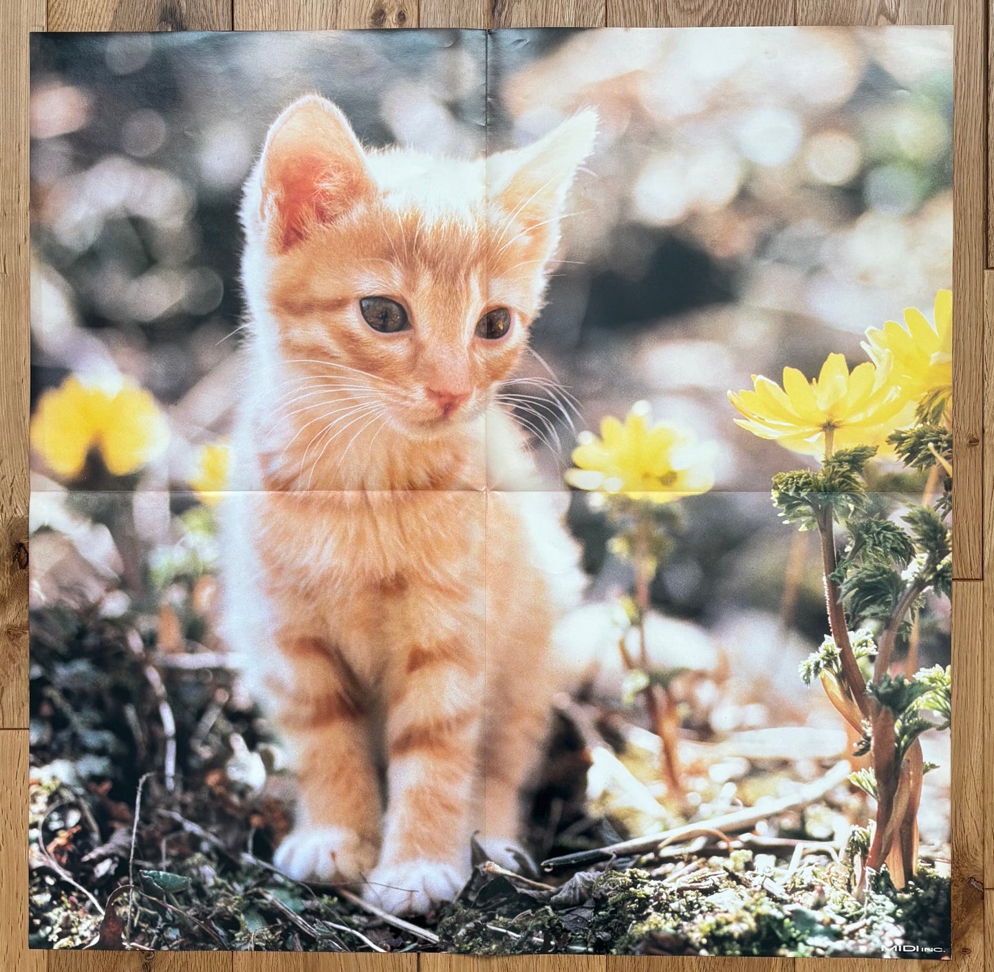 Ryuichi Sakamoto “The Adventures Of Chatran” OST (1986)