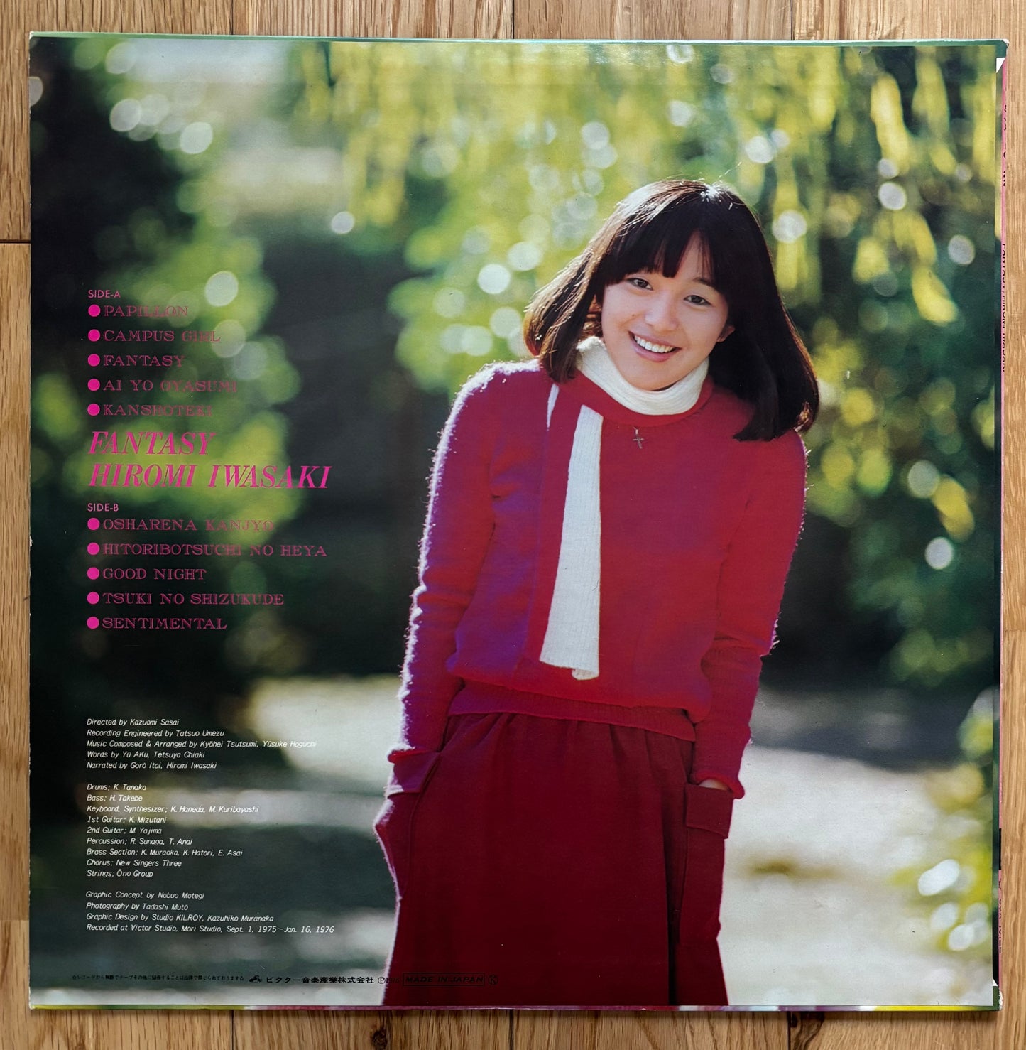 Hiromi Iwasaki "Fantasy" (1976)