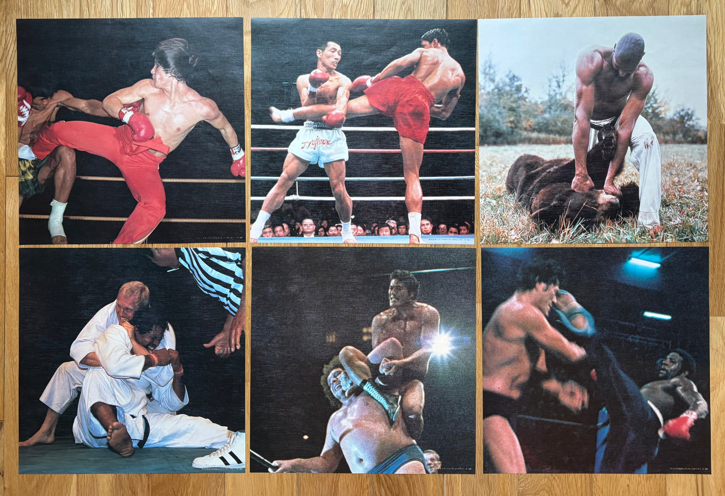 Kings Of The Square Ring (1978)