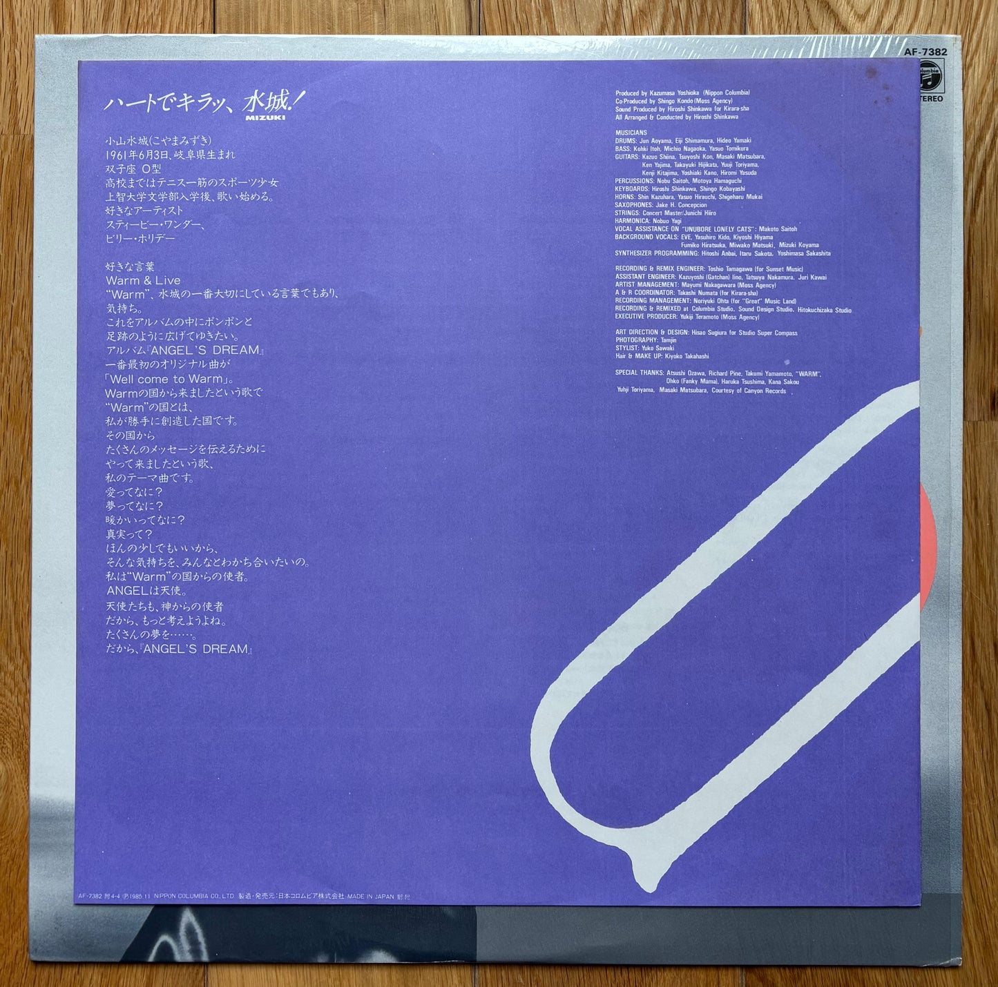 Mizuki Koyama “Angel’s Dream” (1985)