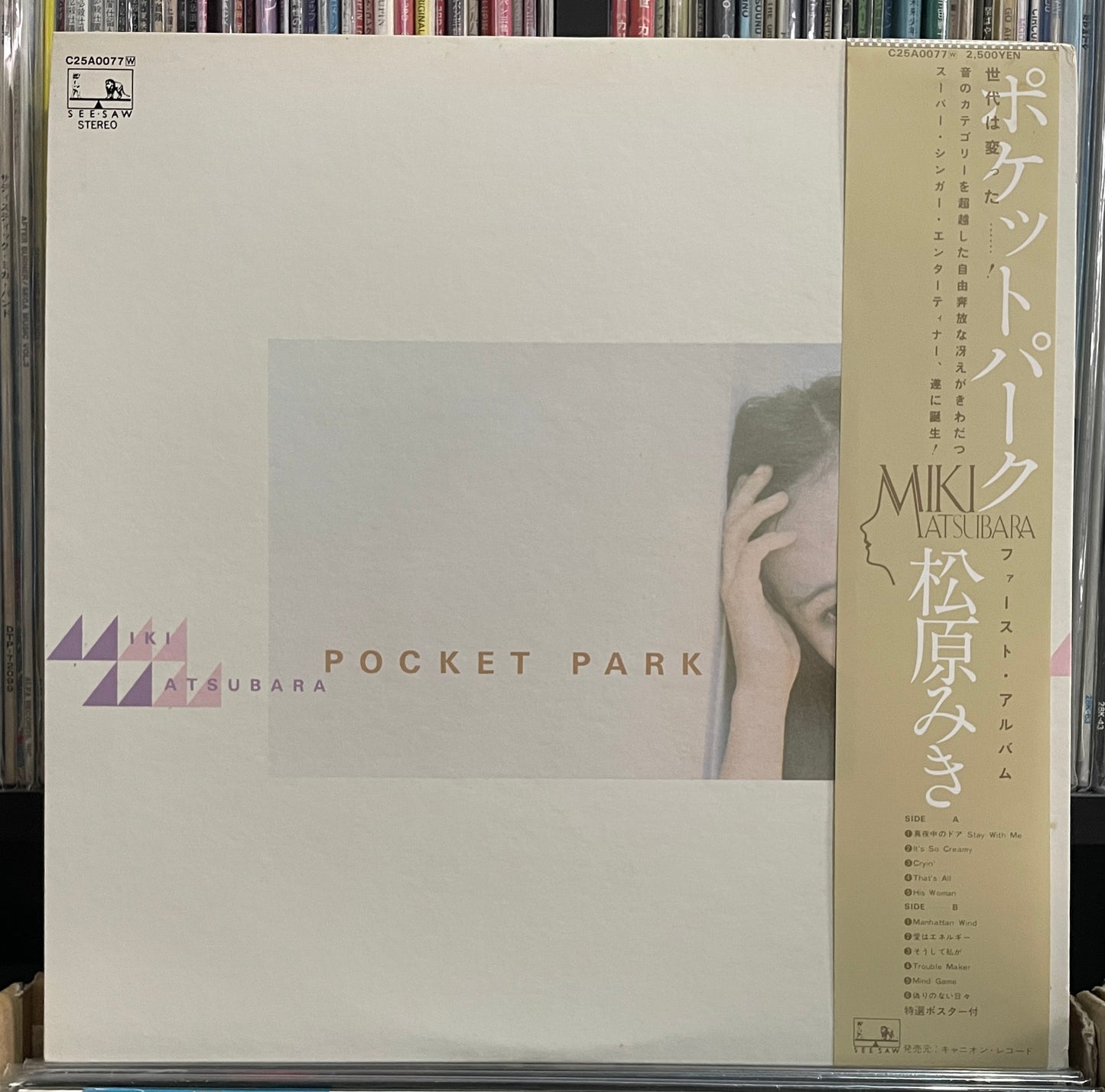 Miki Matsubara “Pocket Park” (1980)