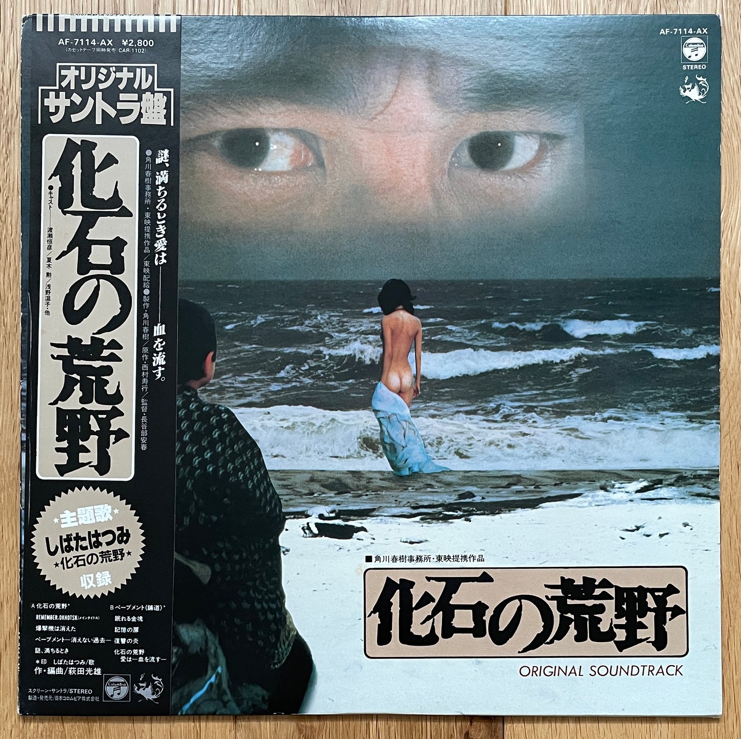 化石の荒野 OST (1982)