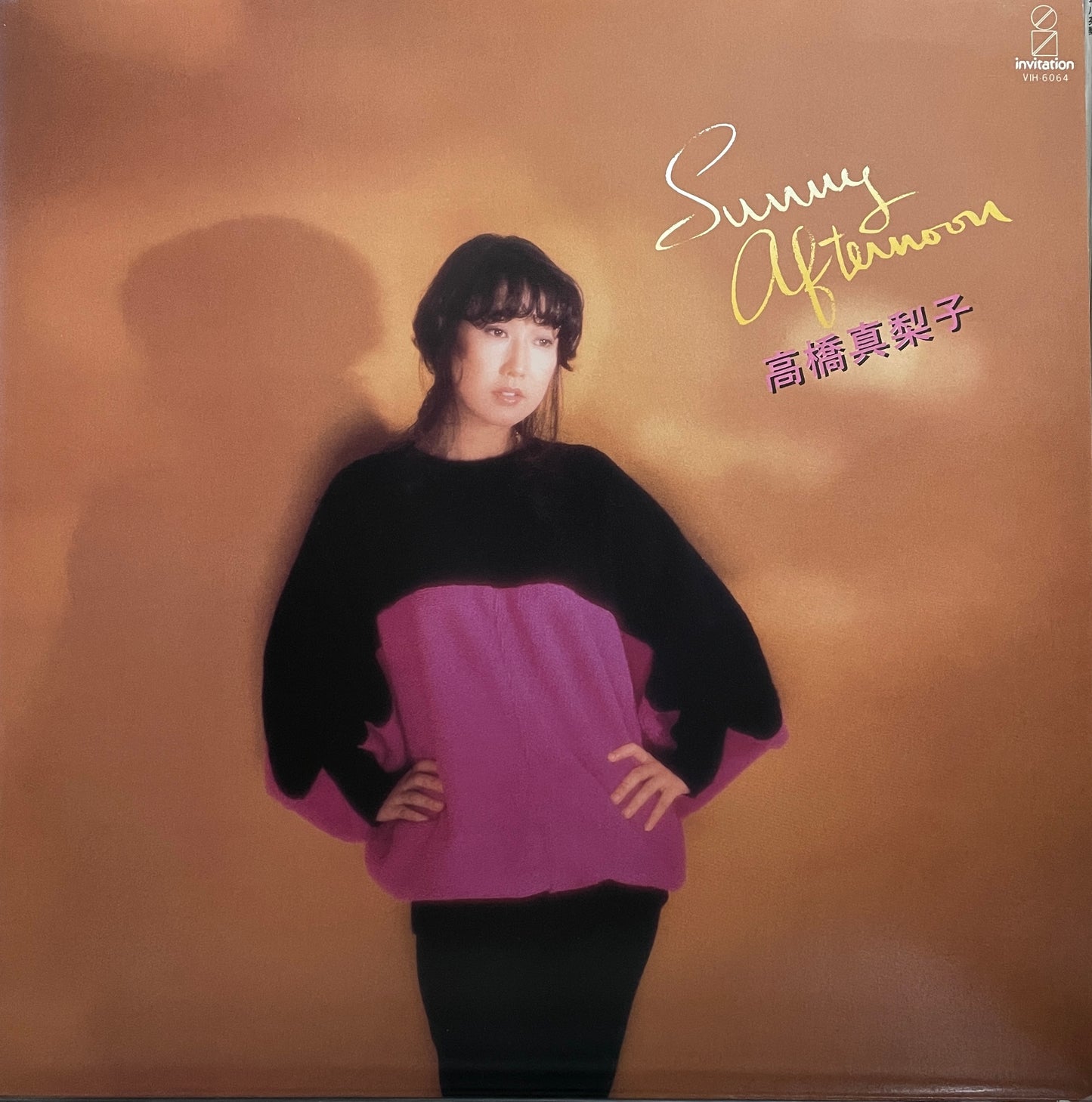 Mariko Takahashi "Sunny Afternoon" (1980)