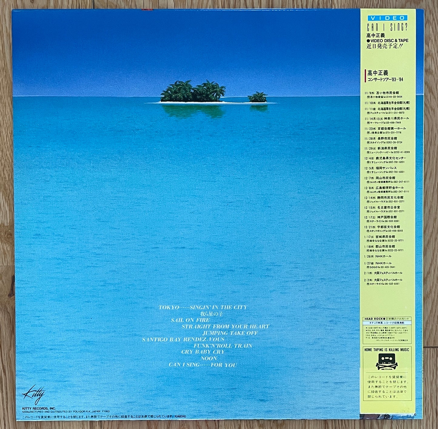 Masayoshi Takanaka "Can I Sing?" (1983)