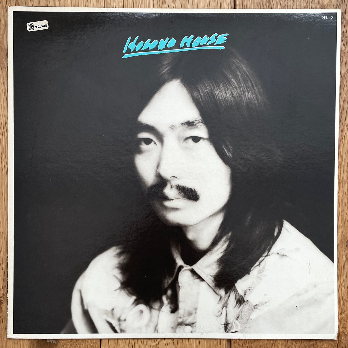 Haruomi Hosono "Hosono House" (1973)