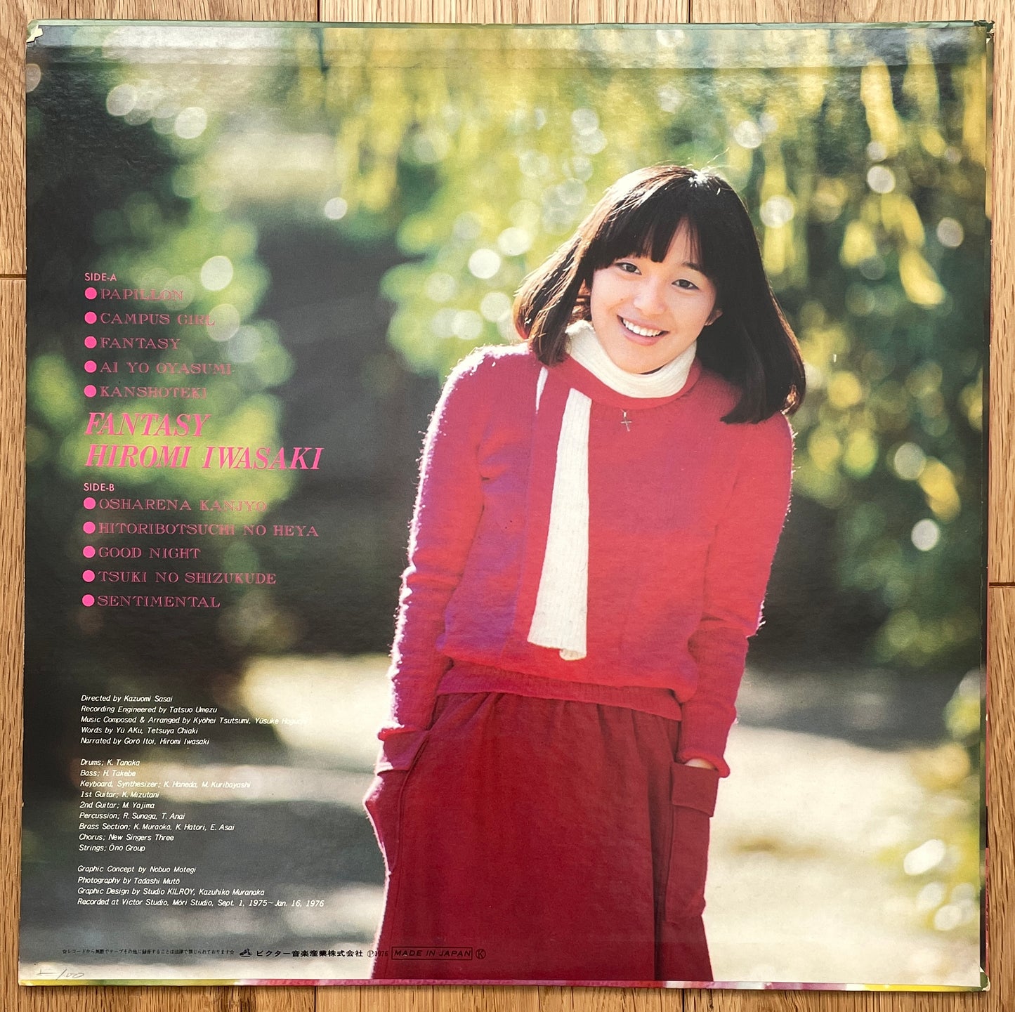 Hiromi Iwasaki “Fantasy” (1976)