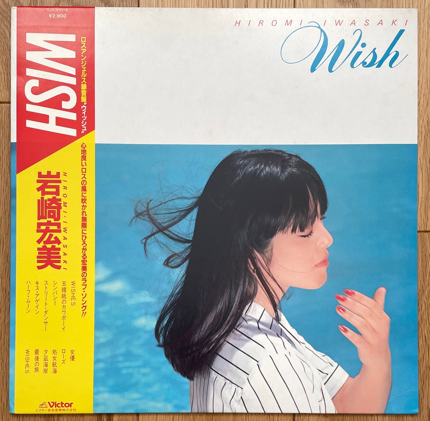 Hiromi Iamwasaki “Wish” (1980)