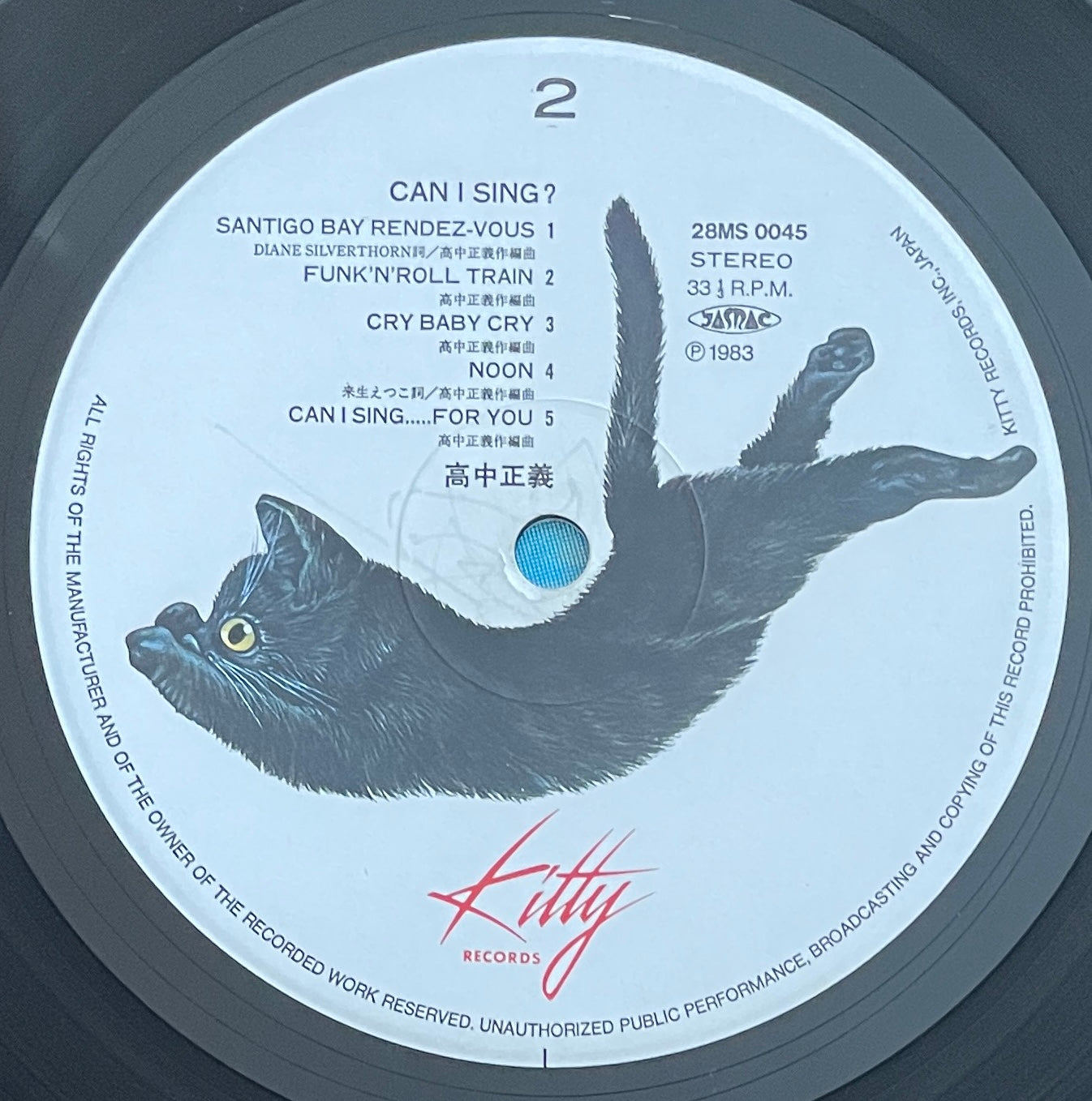 Masayoshi Takanaka "Can I Sing?" (1983)