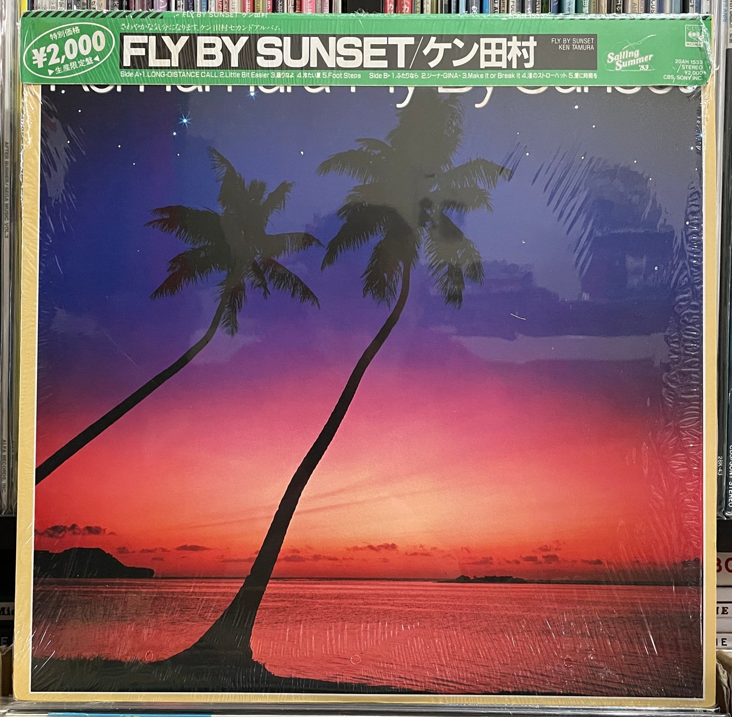 Ken Tamura "Fly By Sunset" (1983)
