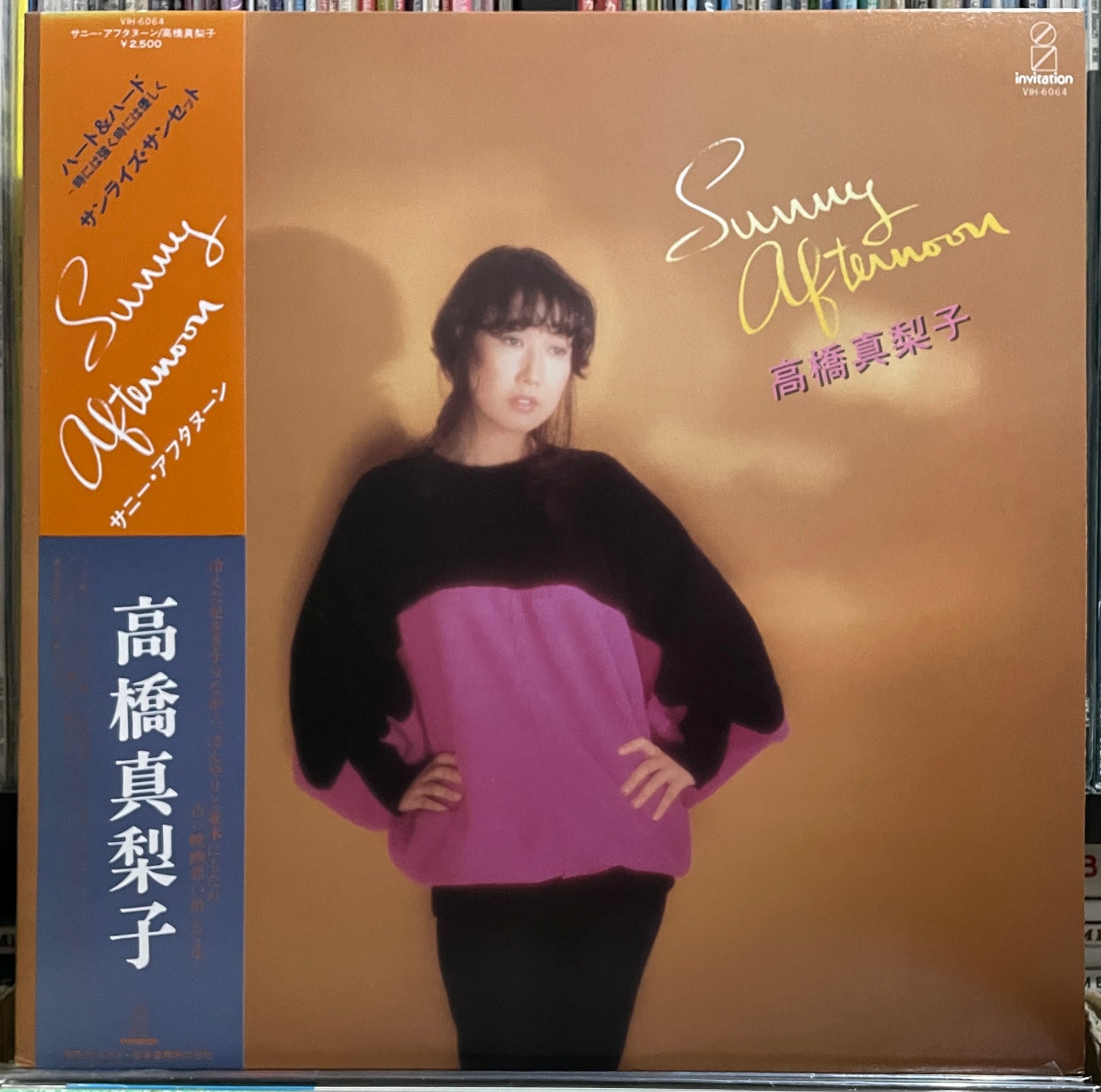 Mariko Takahashi “Sunny Afternoon” (1980)