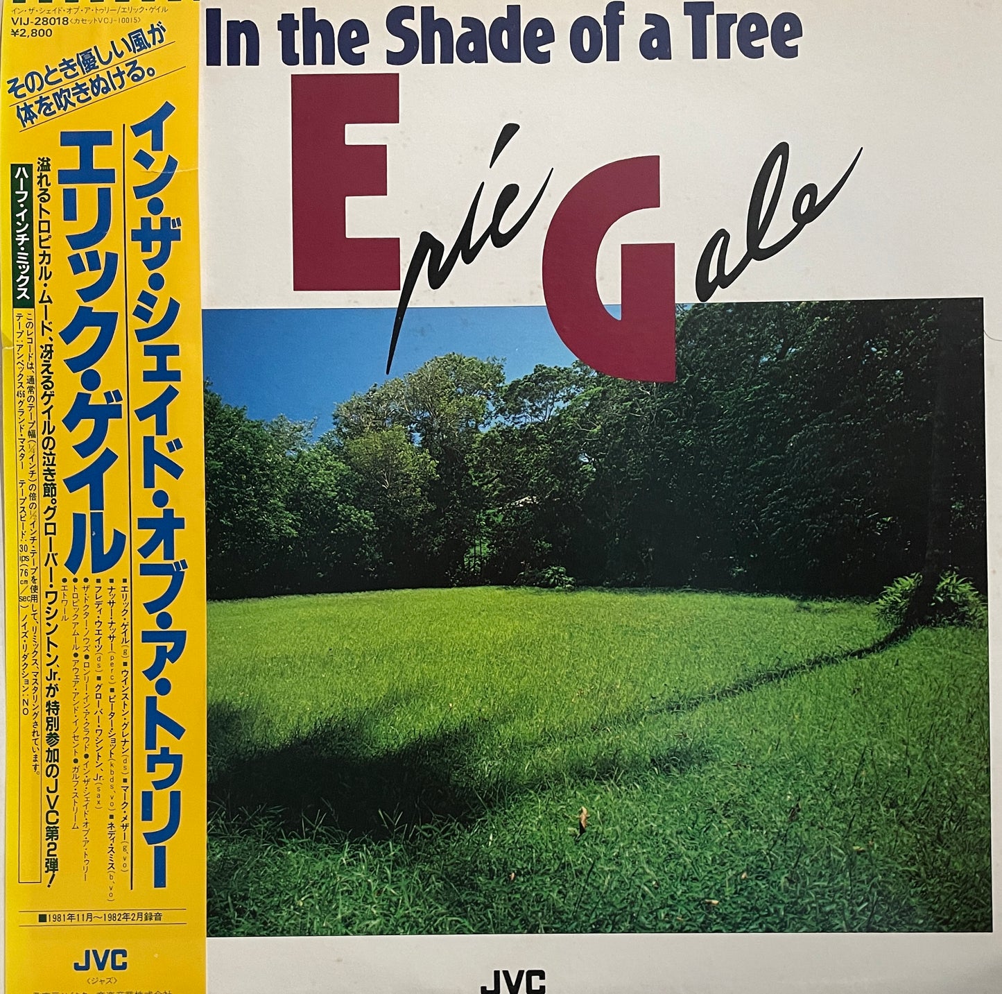 Eric Gale "In The Shade Of A Tree" (1982)